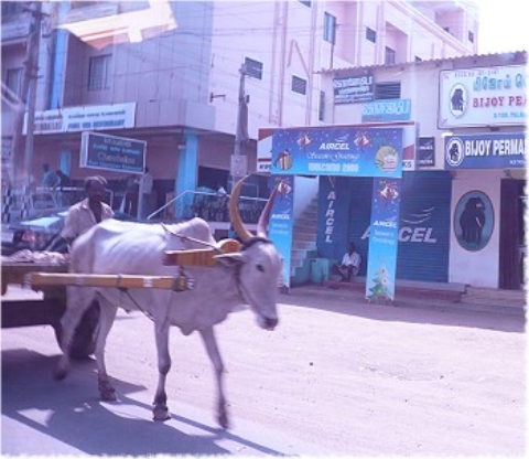 Images/cochin 361.jpg